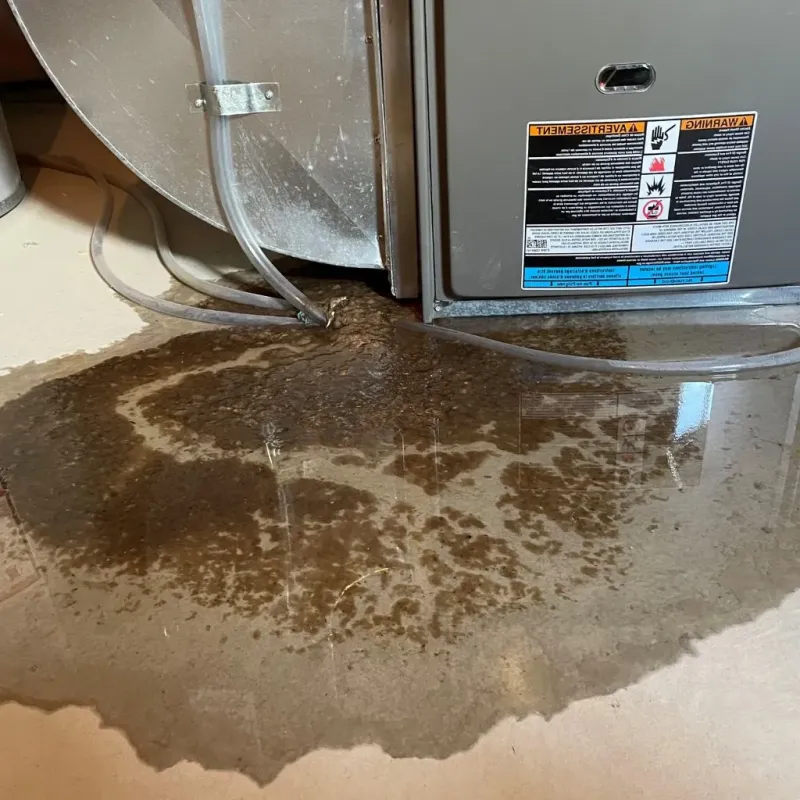 Pipe Burst and Leak Restoration in Chesapeake Ranch Estates, MD